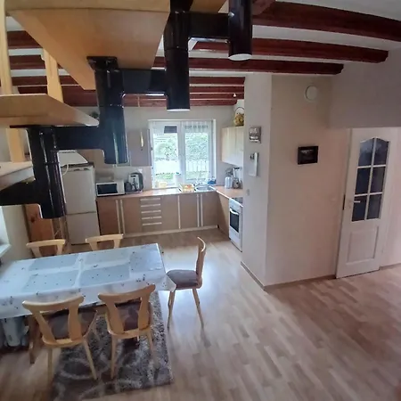 Вилла Na Kaszubach Z Wlasna Linia Brzegowa Nad Jeziorem 4 Sypialnie ,ryby,grzyby *