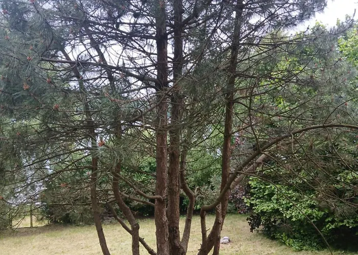 Villa Na Kaszubach Z Wlasna Linia Brzegowa Nad Jeziorem 4 Sypialnie ,ryby,grzyby *